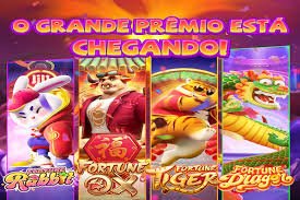 Pilihan kategori Bingo dengan berbagai jenis permainan di modalhoki88